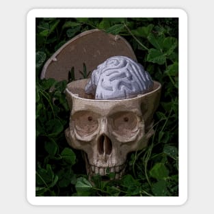 Use your brain-Skull on the grass-Humor Magnet